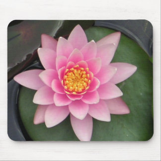 Tapis De Souris Lotus 1