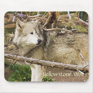 Tapis De Souris Loup de Yellowstone