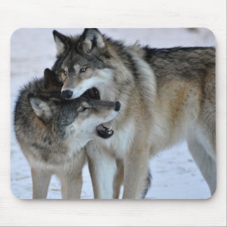 Tapis De Souris Loup gris