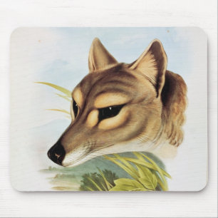 Tapis De Souris Loup ou tigre tasmanien