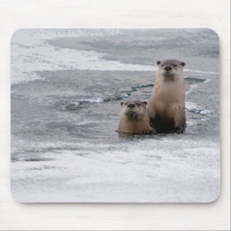 Tapis De Souris Loutres de la rivière Yellowstone