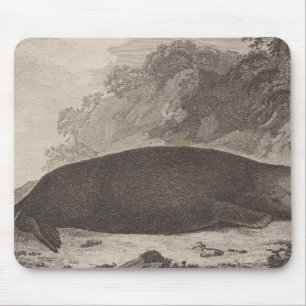 Tapis De Souris Loutres de mer, Colombie-Britannique