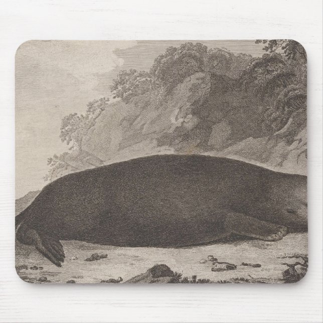 Tapis De Souris Loutres de mer, Colombie-Britannique (Devant)