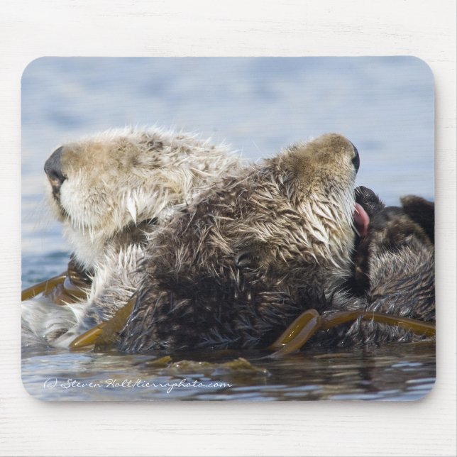 Tapis De Souris Loutres de mer de la Californie (Devant)