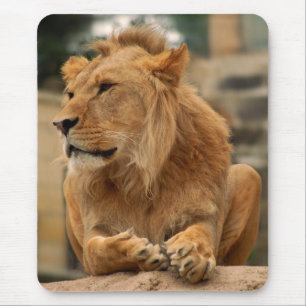 Tapis De Souris Löwe mit Punkerfrisur