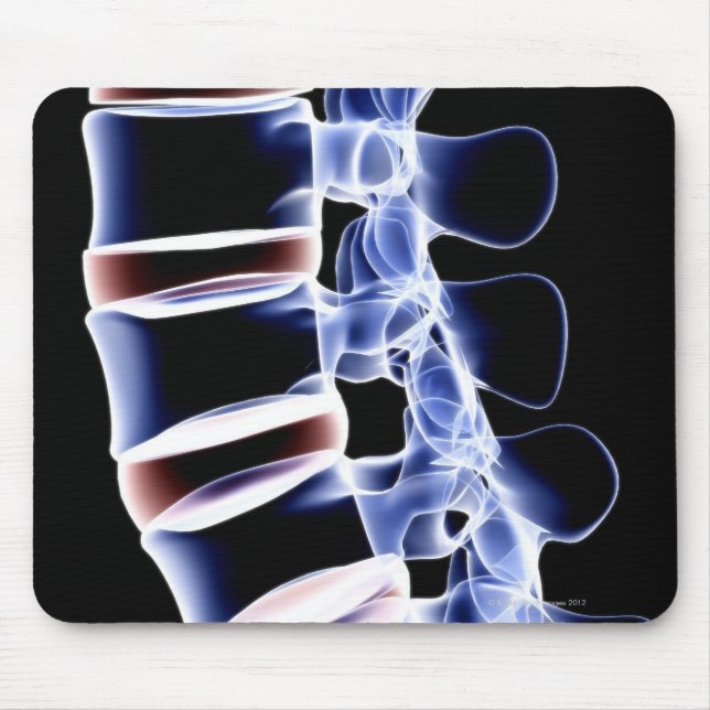 Tapis De Souris Lumbar Vertebrae 2 (Devant)