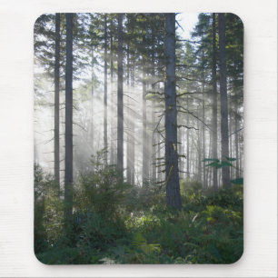Tapis De Souris Lumière du soleil traversant une forêt brumeuse