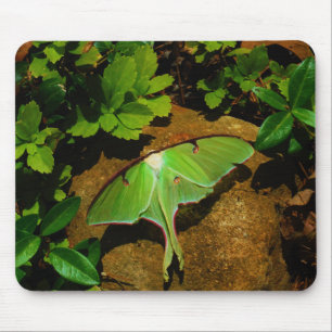 Tapis De Souris Luna verte géante