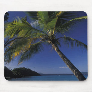 Tapis De Souris L'une des meilleures plages du monde; Trunk Bay su