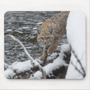 Tapis De Souris Lynx