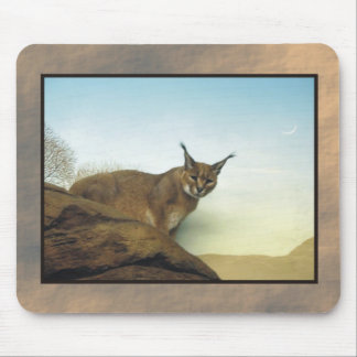 Tapis De Souris lynx 2 de zoo