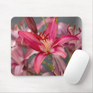 Tapis De Souris Lys asiatique rose, photo de fleur botanique