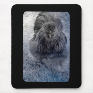 Tapis De Souris M. Fluffy Silkie Rooster 2