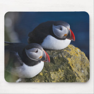 Tapis De Souris Macareux atlantique (Fratercula arctica) 7