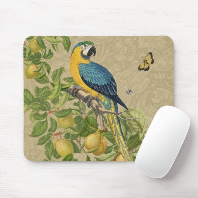 Tapis De Souris Macaw Blue Jaune Tropical Jungle Antique (Avec souris)