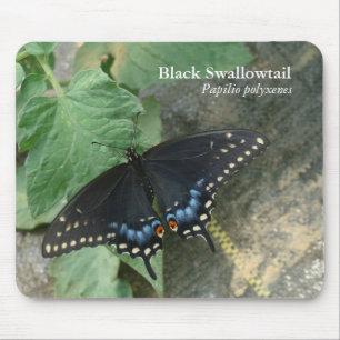 Tapis De Souris Machaon noir Mousepad