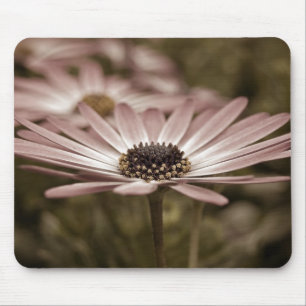 Tapis De Souris Macro Rose Daisy