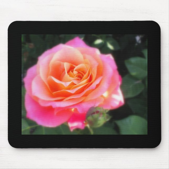 Tapis De Souris Macro Rose rose et orange (Devant)