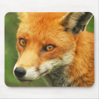 Tapis De Souris Madame rusée