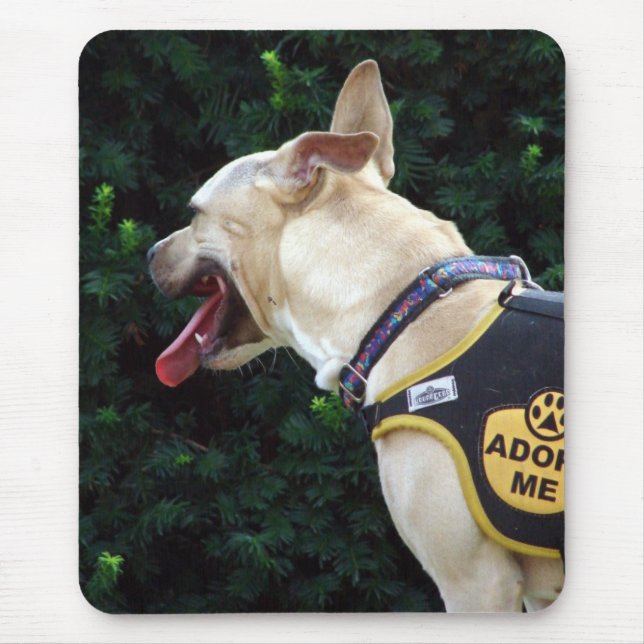 Tapis De Souris M'adopter (Devant)
