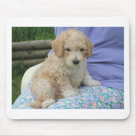 Tapis De Souris Magnifique chiot de cavapo regardant votre chemin,