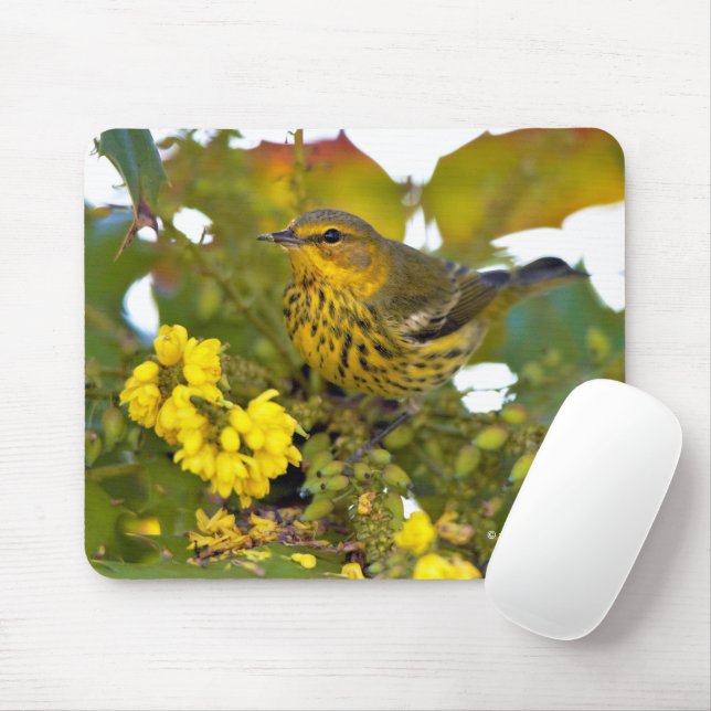 Tapis De Souris Magnifique Paruline du Cap May sur Mahonia (Avec souris)