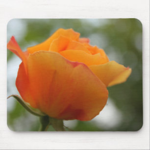 Tapis De Souris Magnifique photo de fleurs de rose jaune.