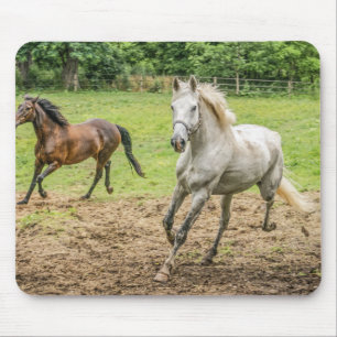 Tapis De Souris Magnifique Souris de chevaux
