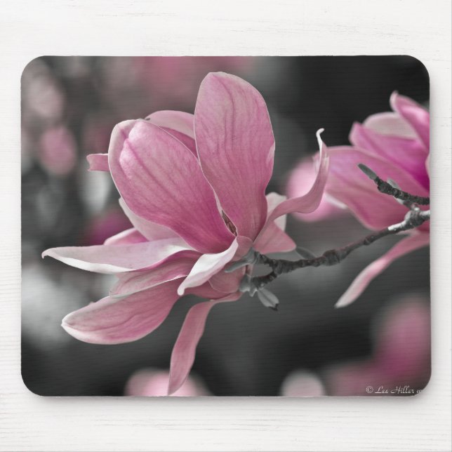 Tapis De Souris Magnolia (Devant)