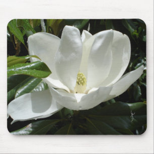 Tapis De Souris magnolia