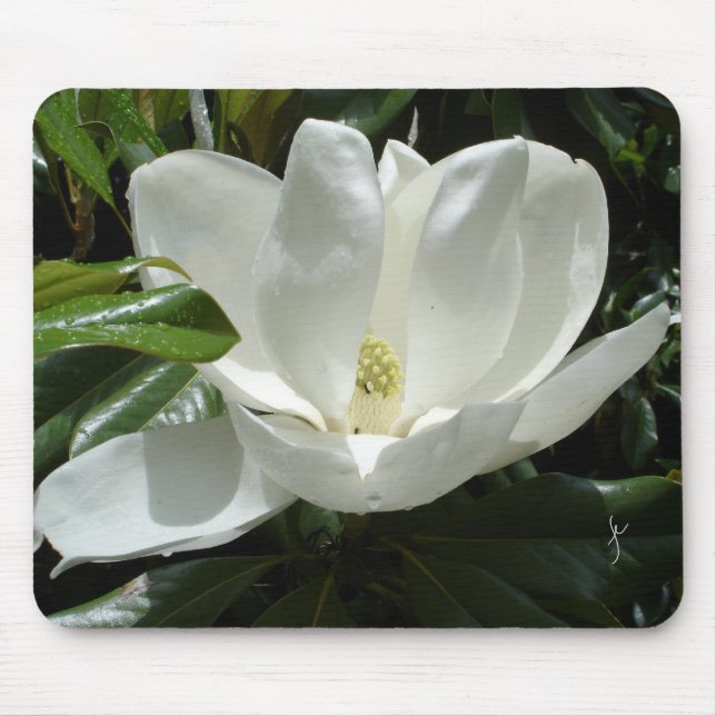 Tapis De Souris magnolia (Devant)