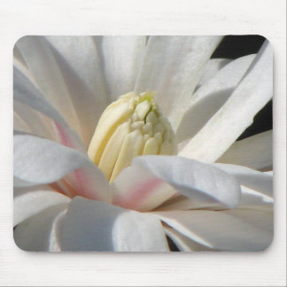 Tapis De Souris Magnolia d'étoile