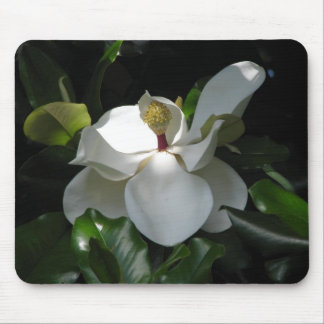 Tapis De Souris Magnolia du sud