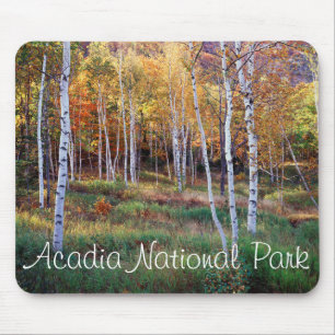 Tapis De Souris Maine, Parc national d'Acadia, Automne