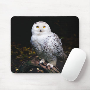 Tapis De Souris Majestic winter snowy owl