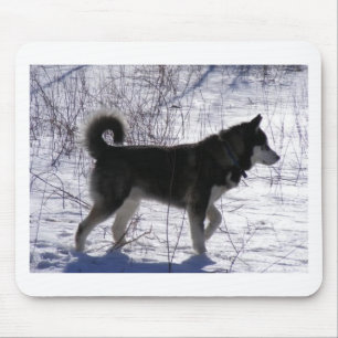 Tapis De Souris Malamute d'Alaska