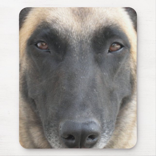 tapis de souris malinois (Devant)