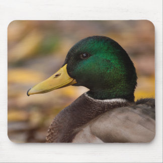 Tapis De Souris Mallard