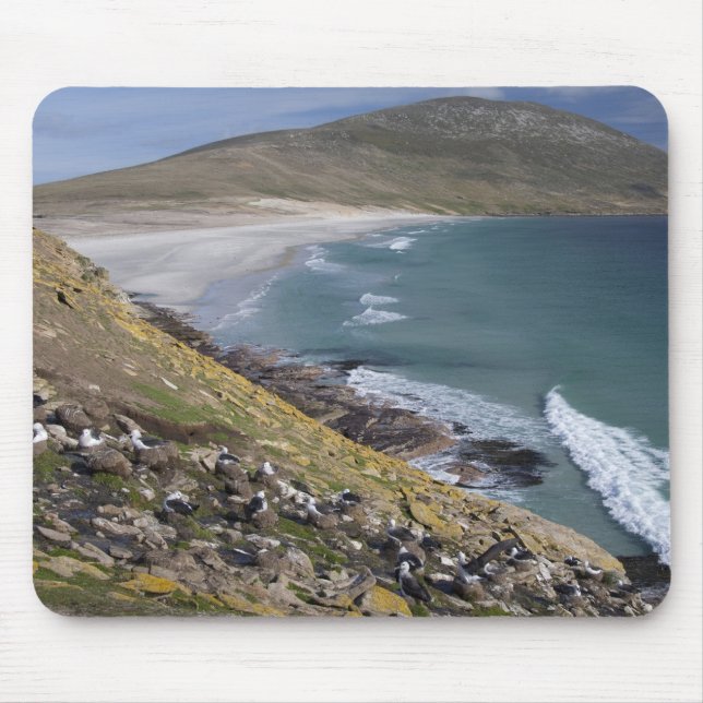 Tapis De Souris Malouines, Falkland Ouest, Saunders (Devant)