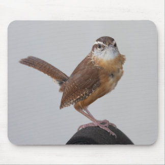 Tapis De Souris Mama Wren