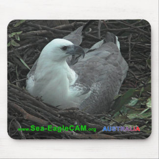 Tapis De Souris Maman s'asseyant sur 2 oeufs Mousepad 2013