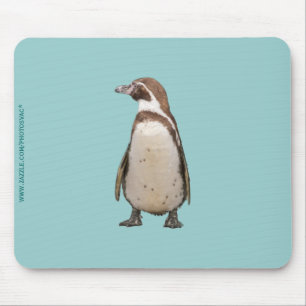 Tapis De Souris Manchot
