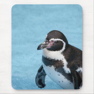 Tapis de souris Manchot de Magellan