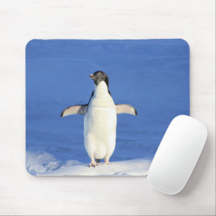 Tapis De Souris Manchot drôle sur une photo de glace