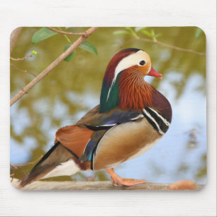 Tapis De Souris Mandarin Duck