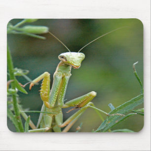 Tapis De Souris Mante 475 Mousepad