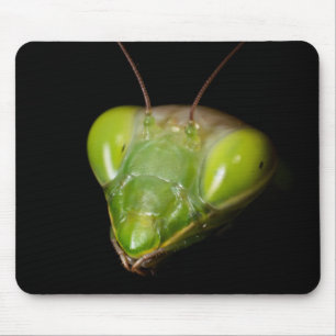 Tapis De Souris Mante priante