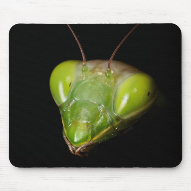 Tapis De Souris Mante priante (Devant)