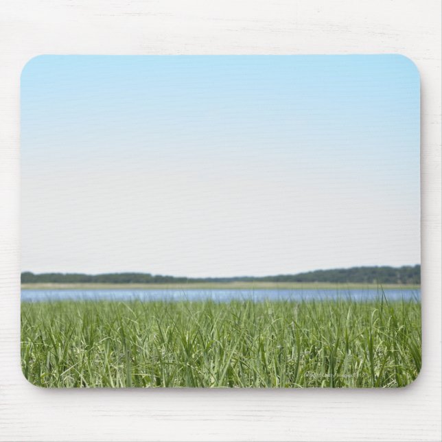 Tapis De Souris Marais de Cape Cod (Devant)
