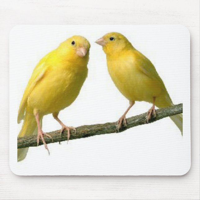 Tapis De Souris Marchandises pour animaux de compagnie Canary Bird (Devant)